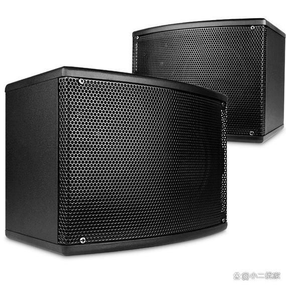 唱歌音响设备哪个品牌好？2026年推荐的10款高性价比设备